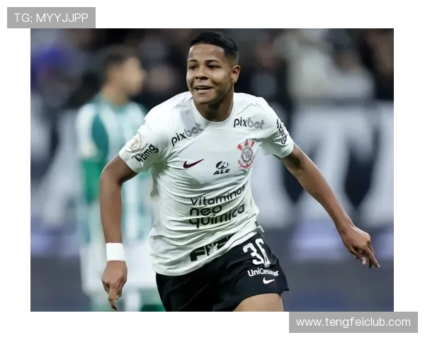 科林蒂安因本轮点球判罚不满正式向巴西足协提出投诉要求重新审视裁判判决